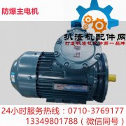 防爆主电机